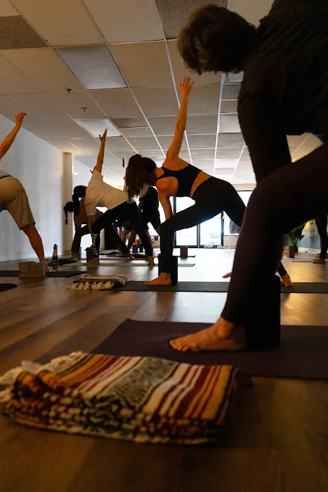 Sol Seed Yoga Picture 4