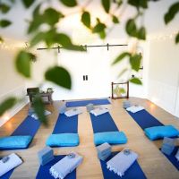 Path of Light Yoga ico