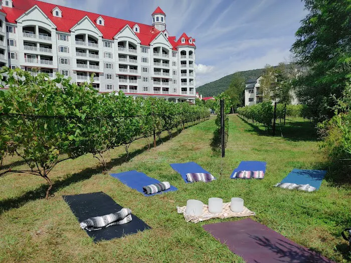 Live a Little Fitness at the RiverWalk Resort at Loon Mountain Picture 8