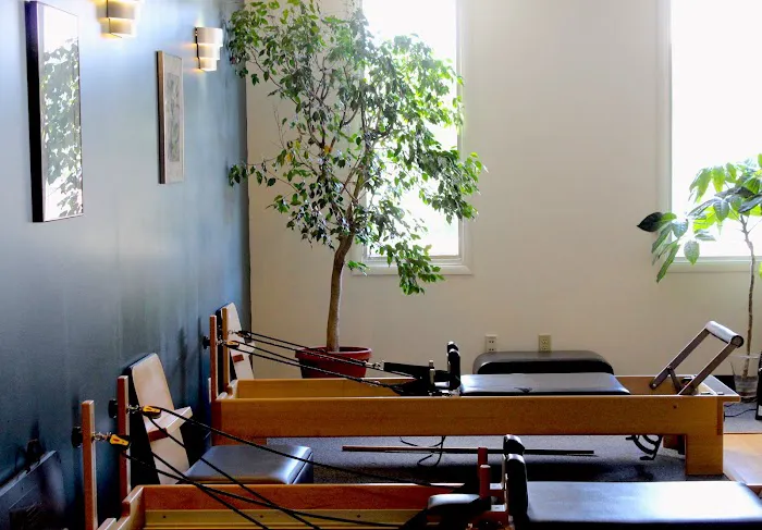Essential Physical Therapy & Pilates Picture 5