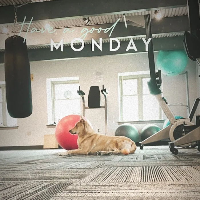 The Forge Gym Picture 10