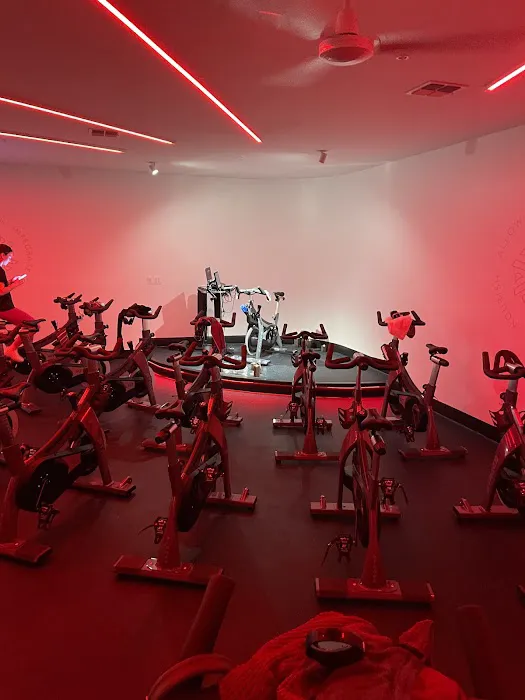 Align Cycling Picture 4