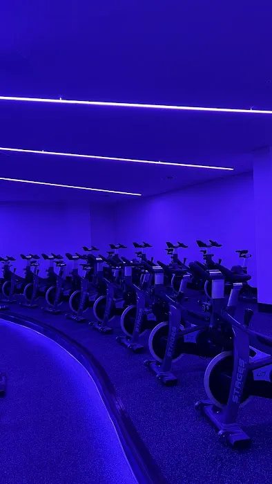 Align Cycling Picture 2