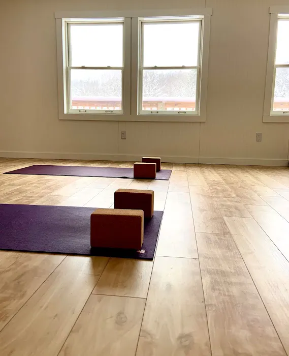The Yoga Prescription Picture 1