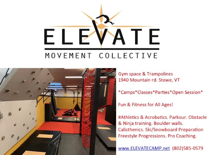 Elevate Movement Collective Picture 4