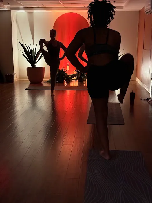 Elemental Yoga Studio Picture 1