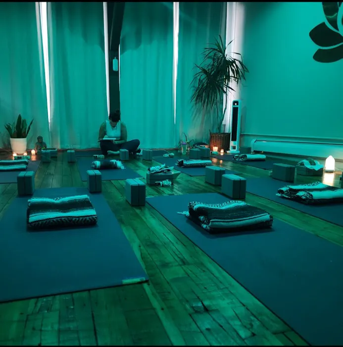 The Zen Den Picture 3
