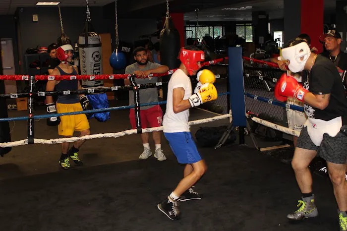860 Boxing Club Picture 5