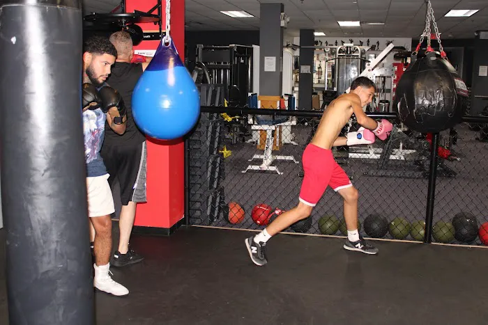 860 Boxing Club Picture 6
