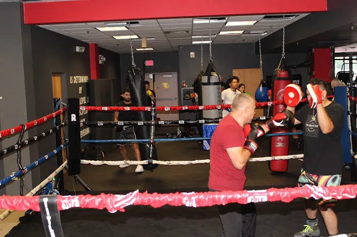 860 Boxing Club Picture 4