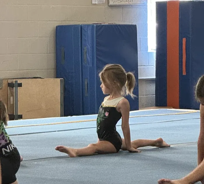 Silk City Gymnastics & Dance Picture 3