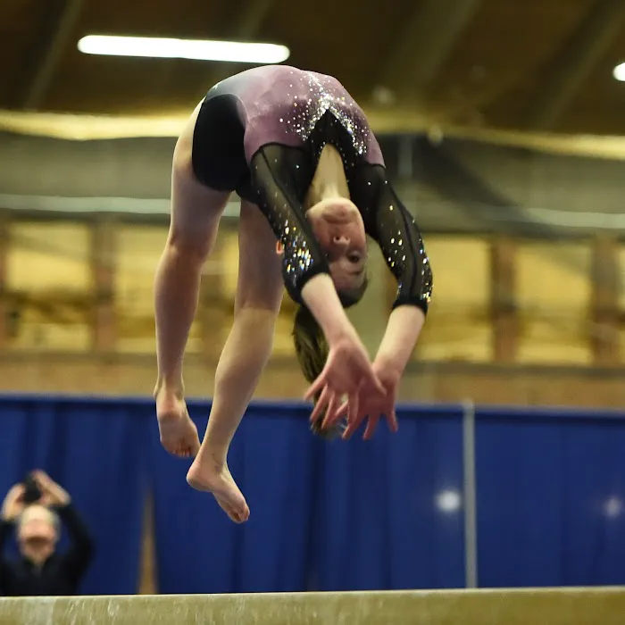 Silk City Gymnastics & Dance Picture 9