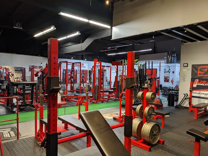 TITANIUM STRENGTH Picture 1