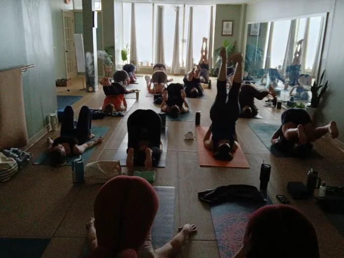 TrueBody Fitness and Yoga Picture 5