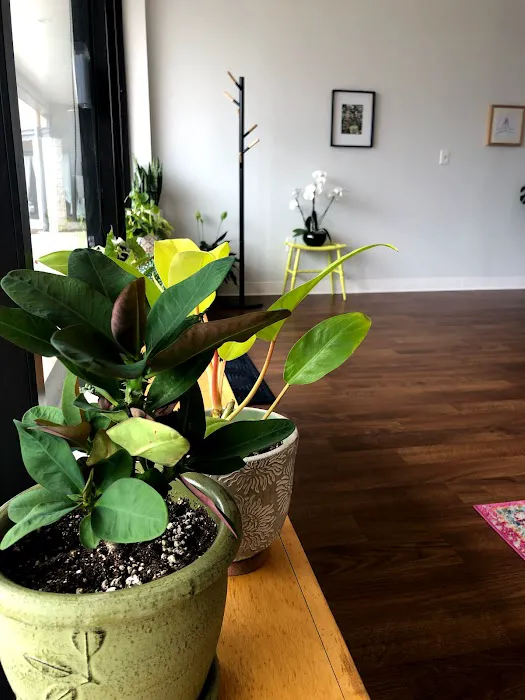 Sweet Lotus Yoga Studio Picture 7