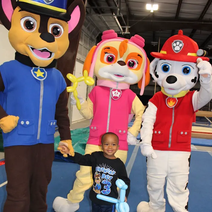 Gymnastics Express Too Picture 1