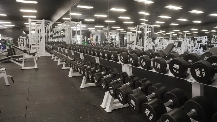 Arsens Gym | 24/7 Branford, Ct Picture 7