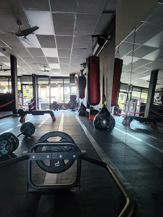So Fitt & Combat Pit Picture 4