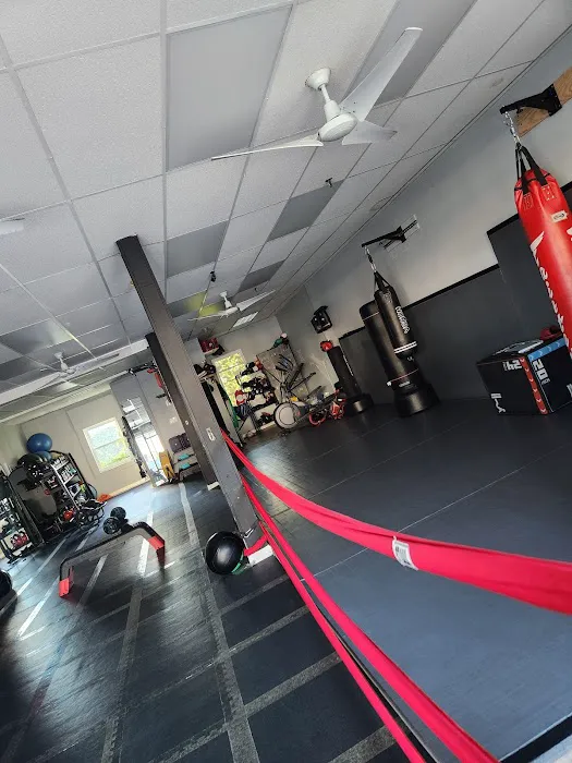 So Fitt & Combat Pit Picture 3