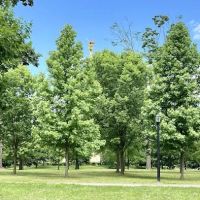 Pelham Bay Park Track and Athletic Field ico