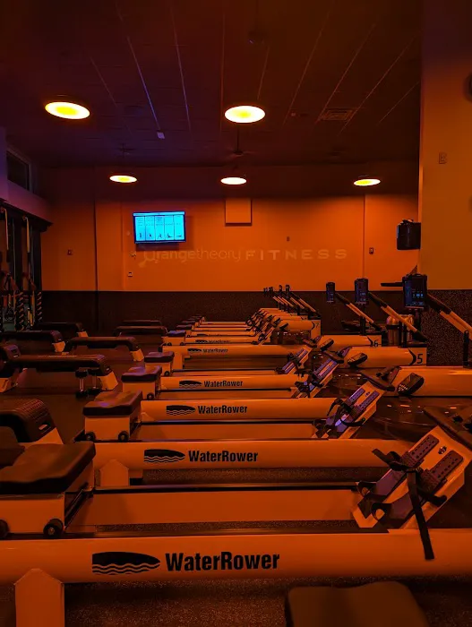 Orangetheory Fitness Picture 4