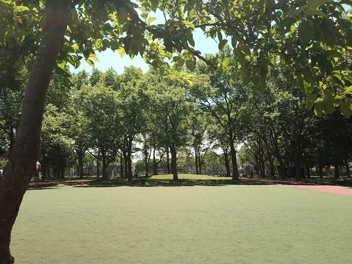 Saint Mary's Park Outdoor Fitness Equipment Picture 5