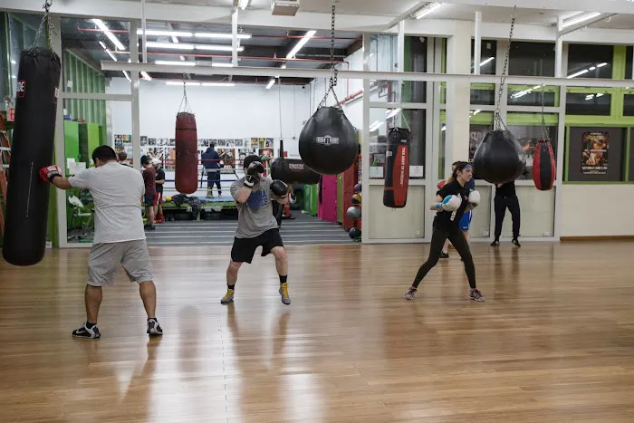 Green Fitness Studio NYC Picture 6