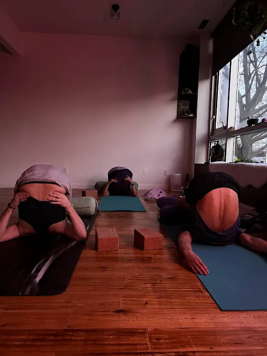Frequency Movement Yoga Picture 1