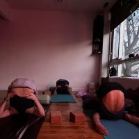 Frequency Movement Yoga ico