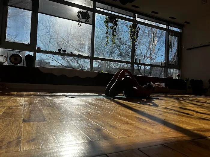 Frequency Movement Yoga Picture 9