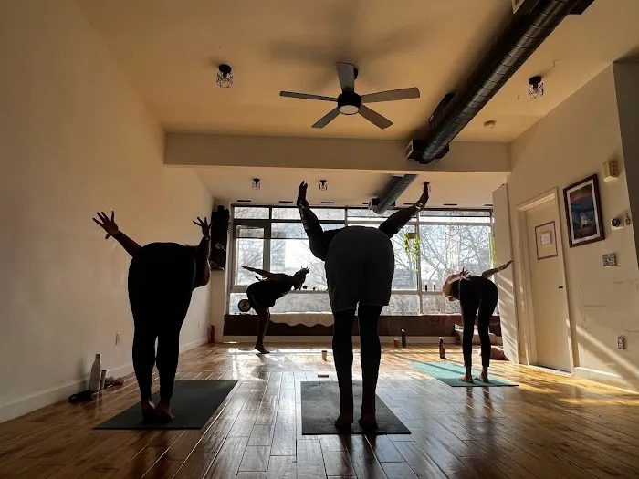 Frequency Movement Yoga Picture 6