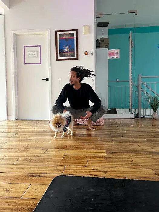 Frequency Movement Yoga Picture 10