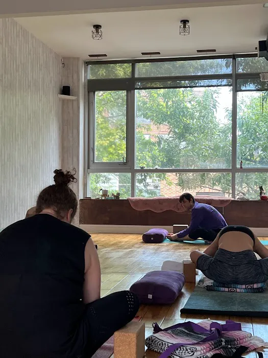 Frequency Movement Yoga Picture 8