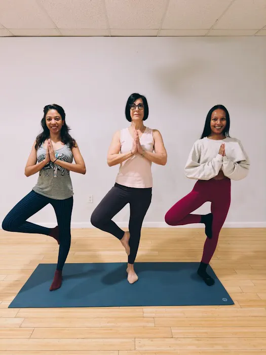 Forest Hills Yoga Picture 2