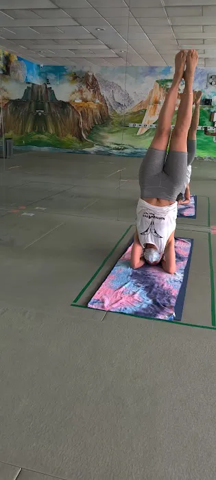 HotYoga4You Rego Park Picture 4