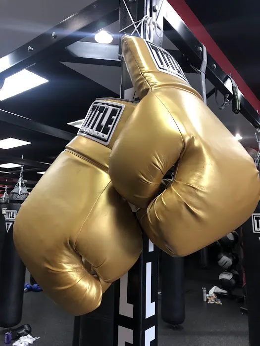 TITLE Boxing Club Forest Hills Picture 7