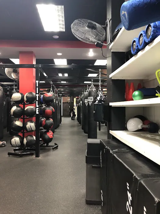 TITLE Boxing Club Forest Hills Picture 4