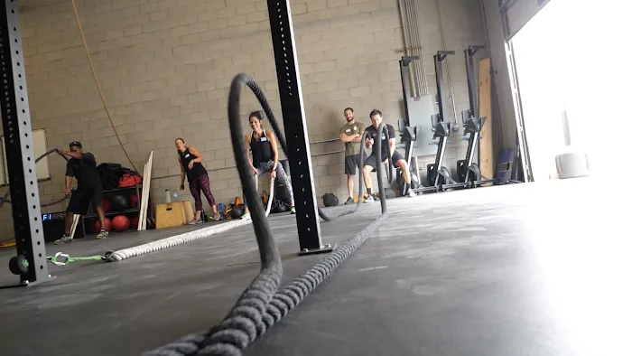Alpha Lycan Gym Picture 10