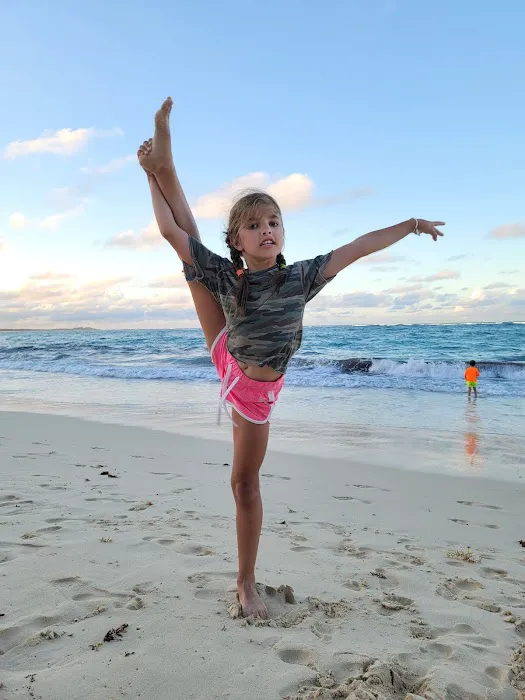 Forest Hills Rhythmic Gymnastics Dance Picture 1