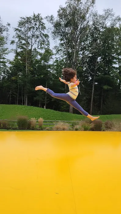 Forest Hills Rhythmic Gymnastics Dance Picture 8