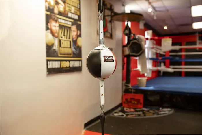 Universal Boxing Gym Picture 4