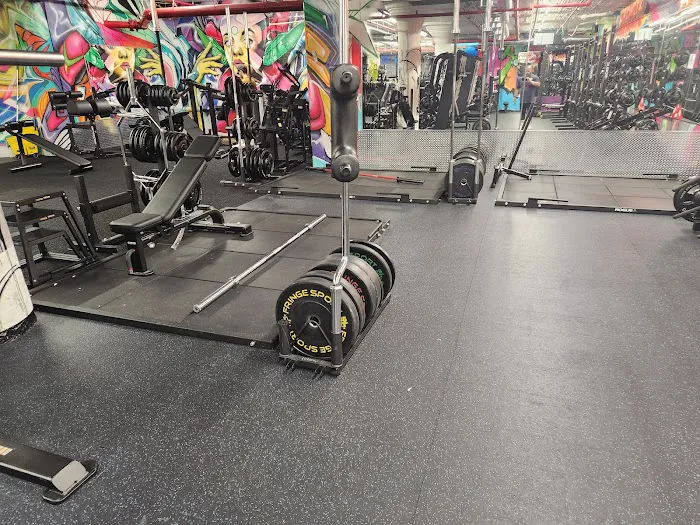 Absolute Power Fitness Picture 4