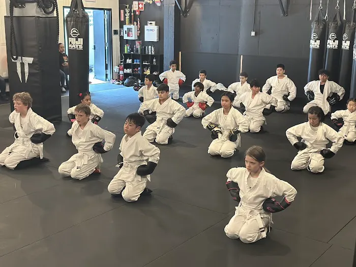 Technique Training NY Picture 4