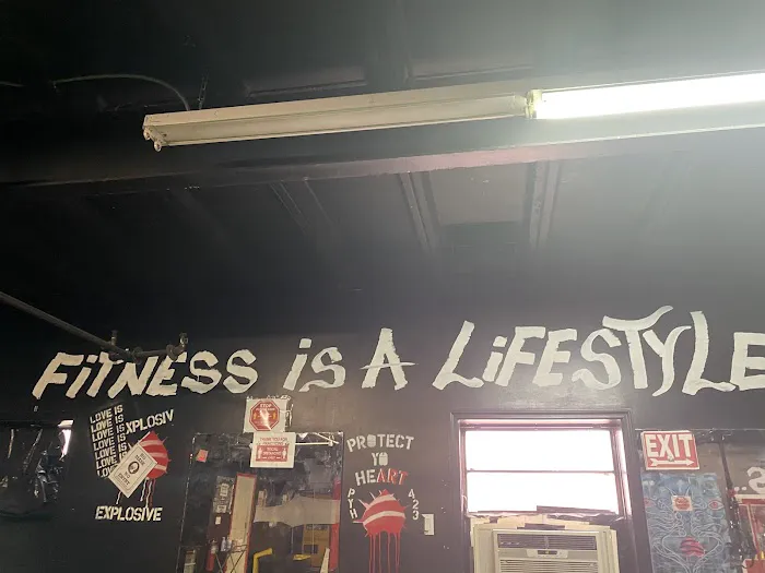 Fitness Grinder Picture 7