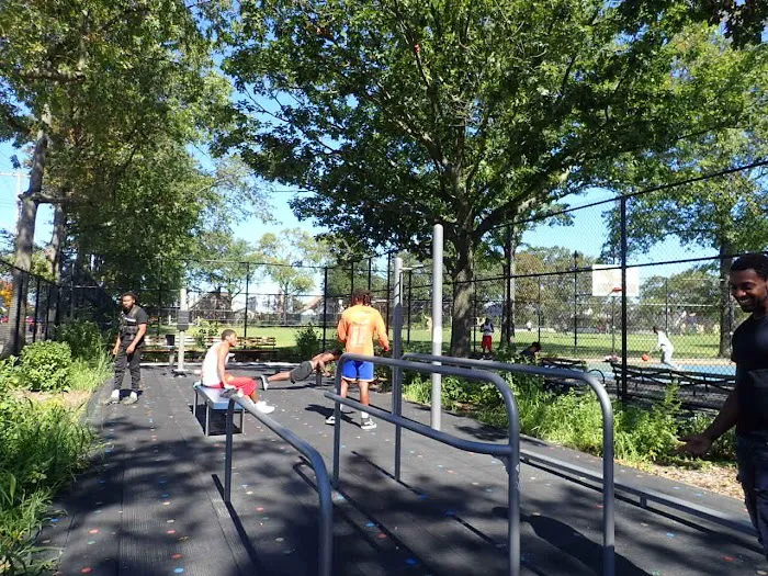 Outdoor Calisthenics Gym Picture 1