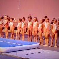 Power Moves Gymnastics and Fitness ico