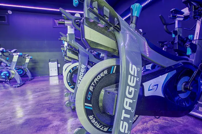 SPIN - FH Picture 5