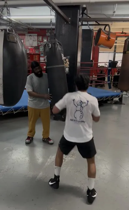 area51boxingclub llc Picture 5