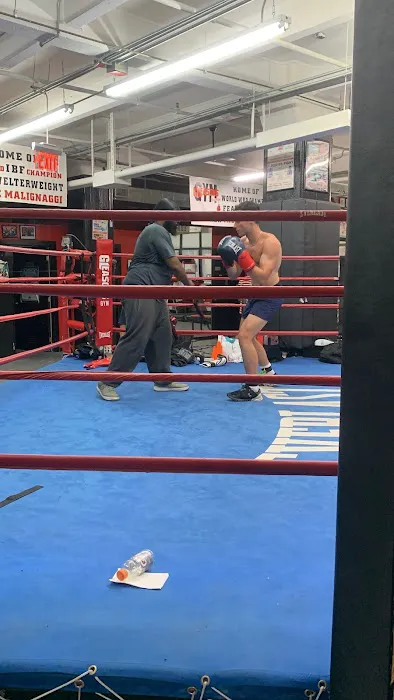 area51boxingclub llc Picture 2