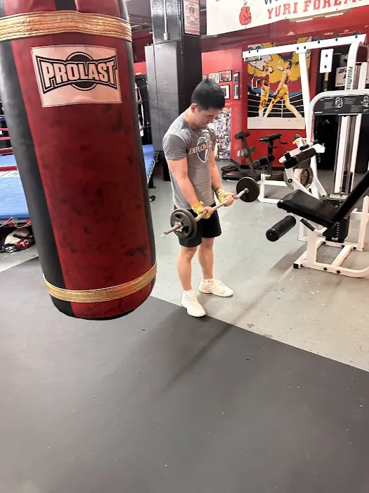 area51boxingclub llc Picture 8